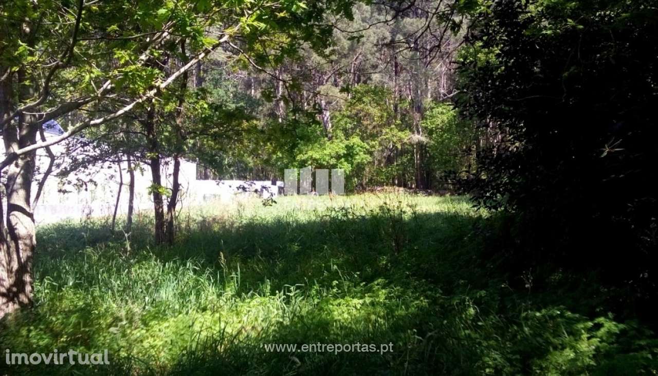 Venda de 3 Terrenos, Afife, Viana do Castelo - Grande imagem: 2/31