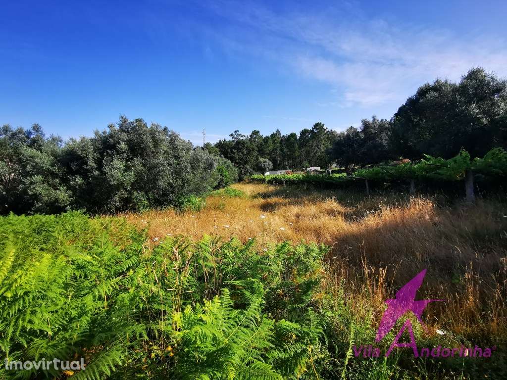 Terreno 2814M2, um refúgio natural a poucos minutos da cidade. - Grande imagem: 2/8