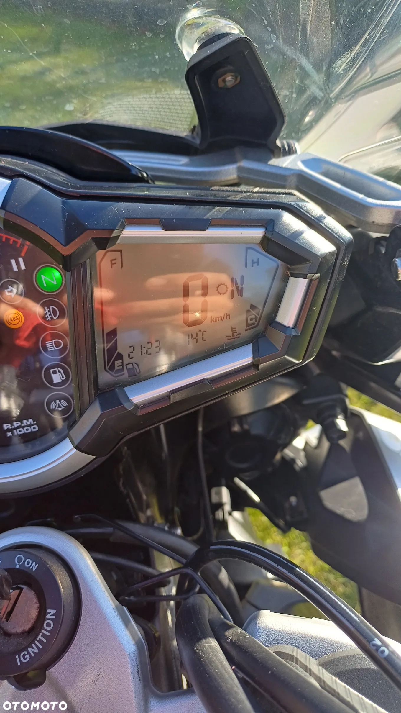 Triumph Tiger - 11