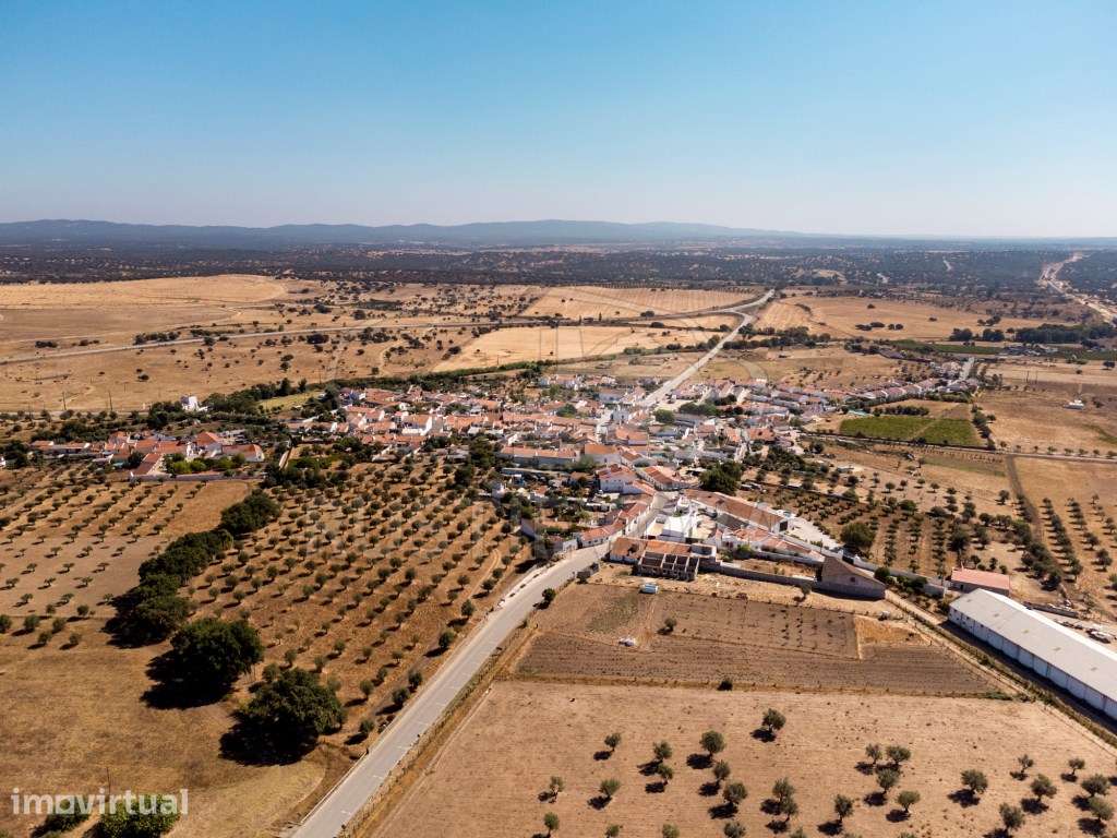 Terreno rústico, em São Miguel de Machede, sem viabilidade de const... - Grande imagem: 3/10