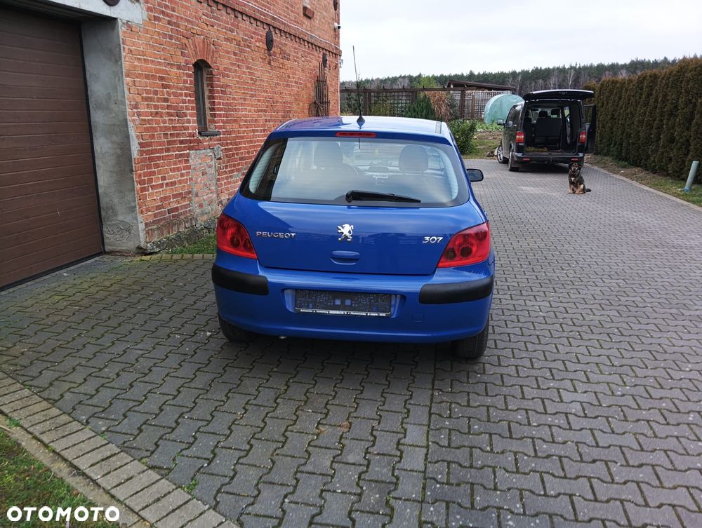 Peugeot 307 1.4 Mistral - 2