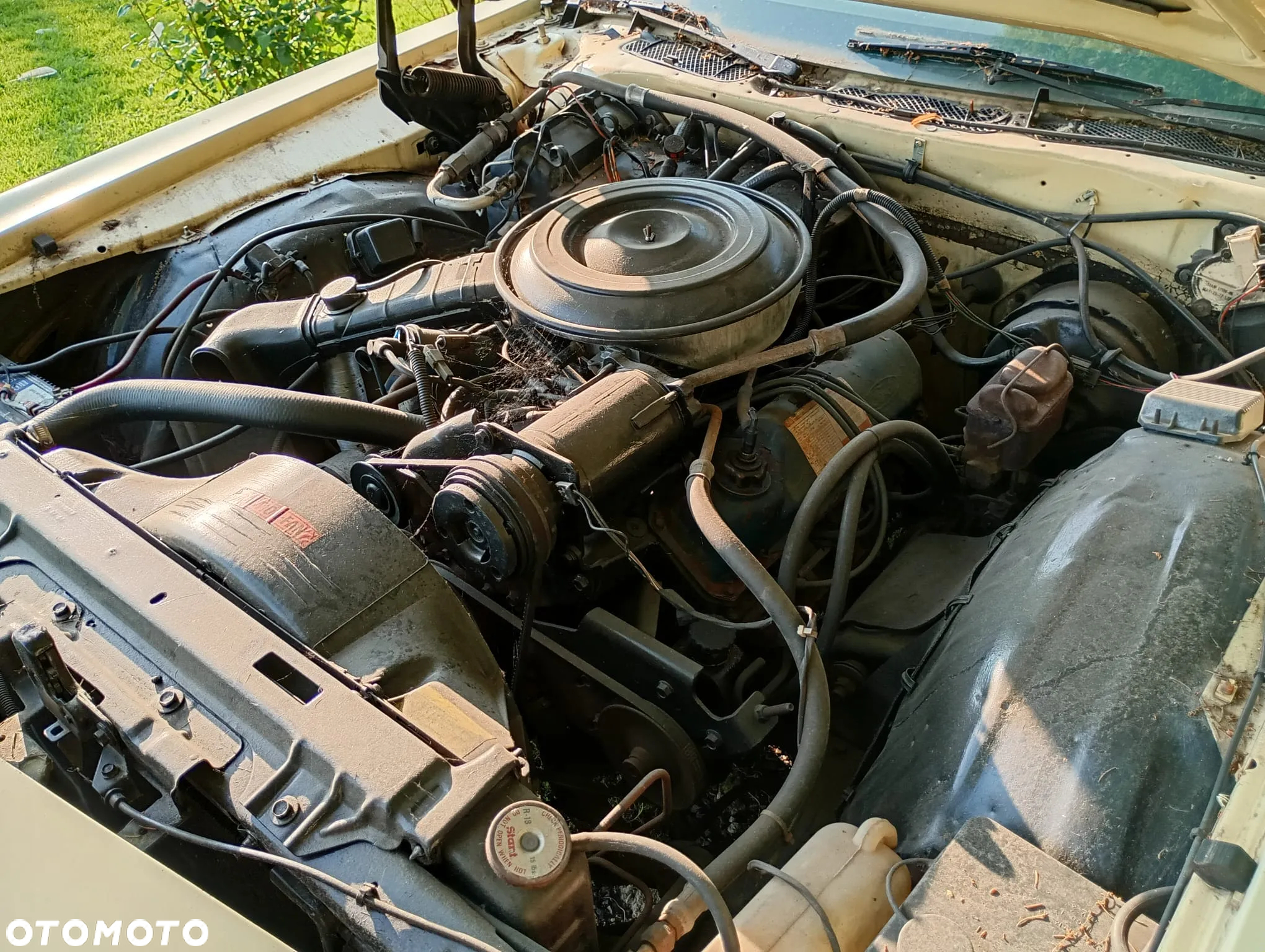 Ford Mercury - 15