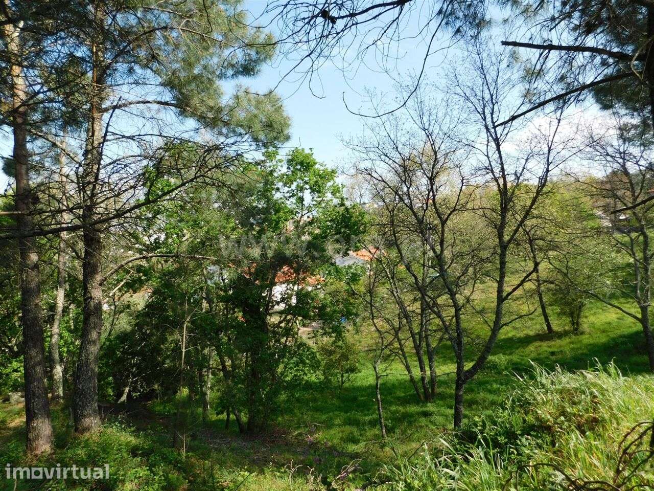 Lote / Seia, Seia - Grande imagem: 2/5