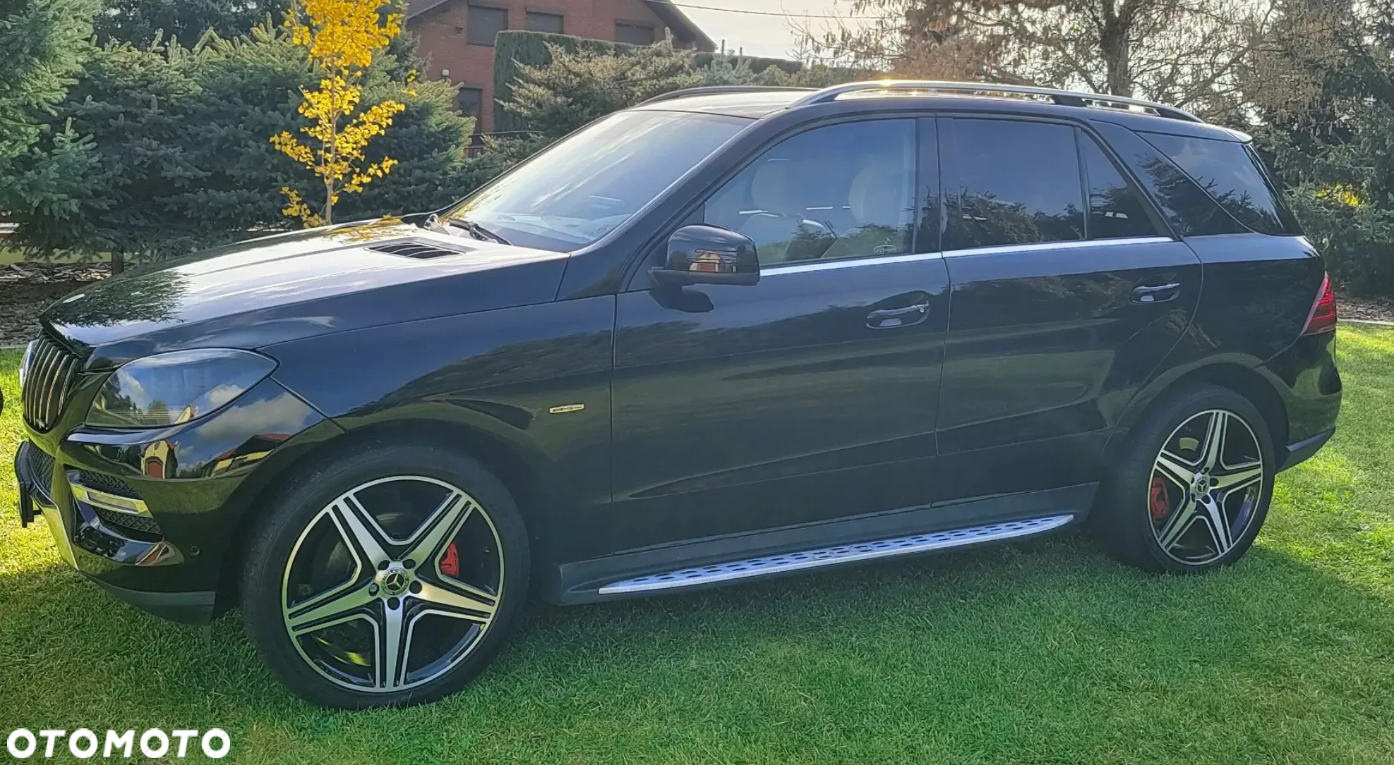 Mercedes-Benz ML 250 BlueTec 4-Matic - 23