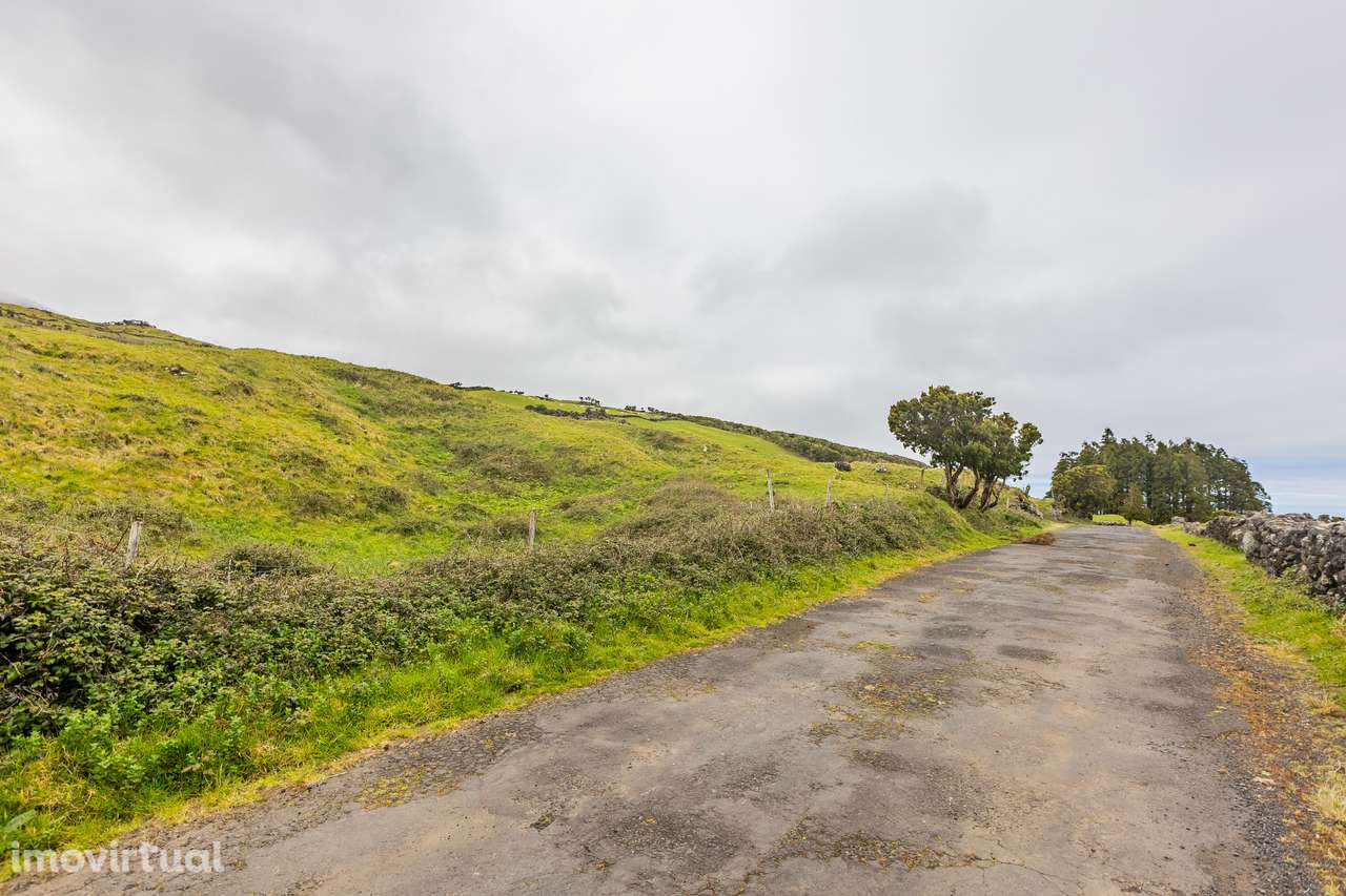 Terreno Rústico - Ilha do Pico - Grande imagem: 3/11
