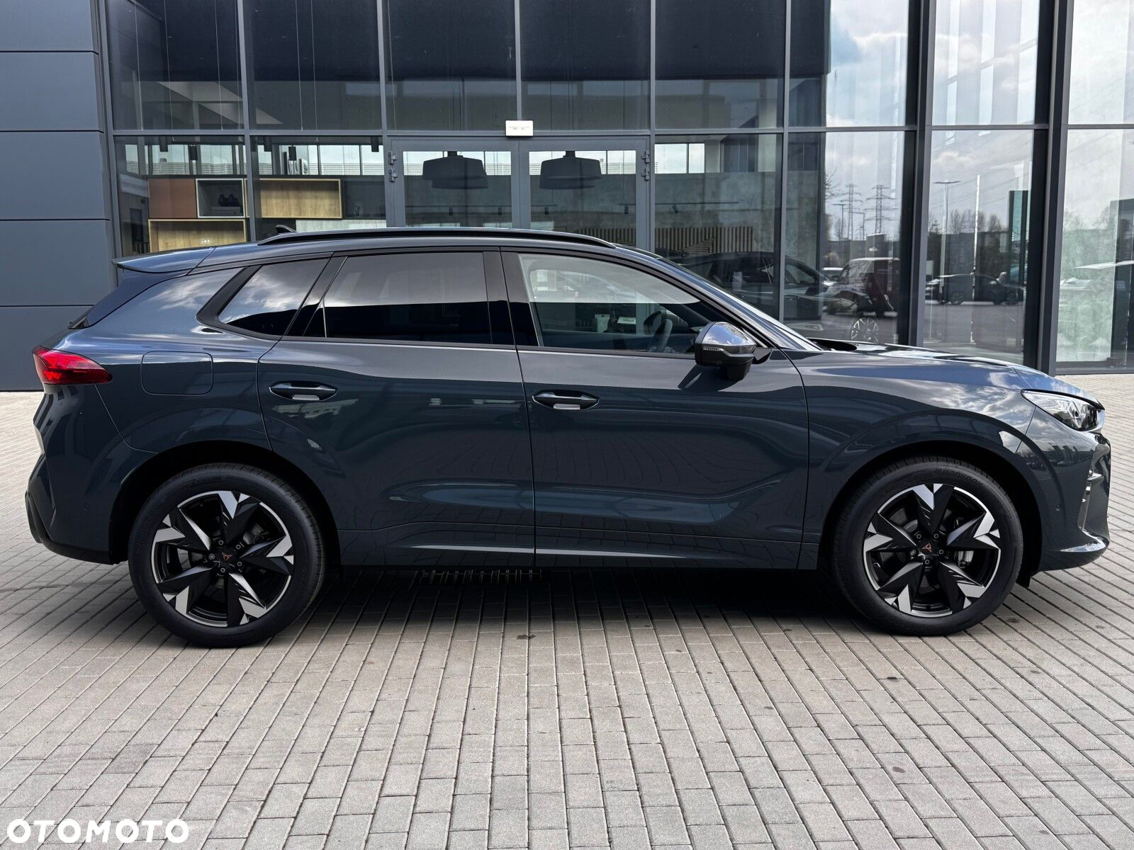 Cupra Terramar 2.0 TSI 4Drive DSG - 7