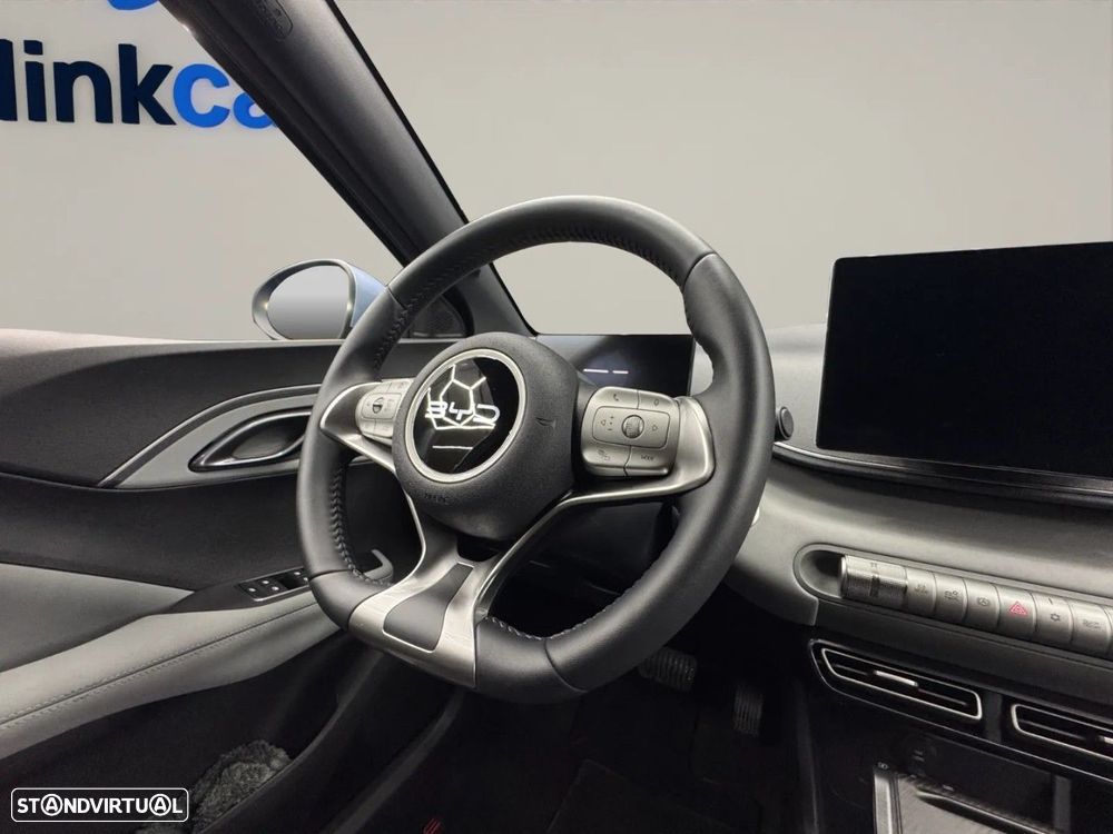 BYD Dolphin Surf - 13