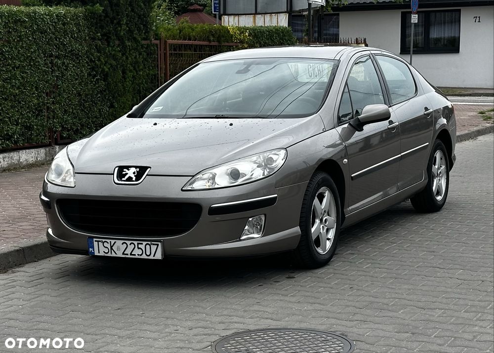 Peugeot 407 - 5
