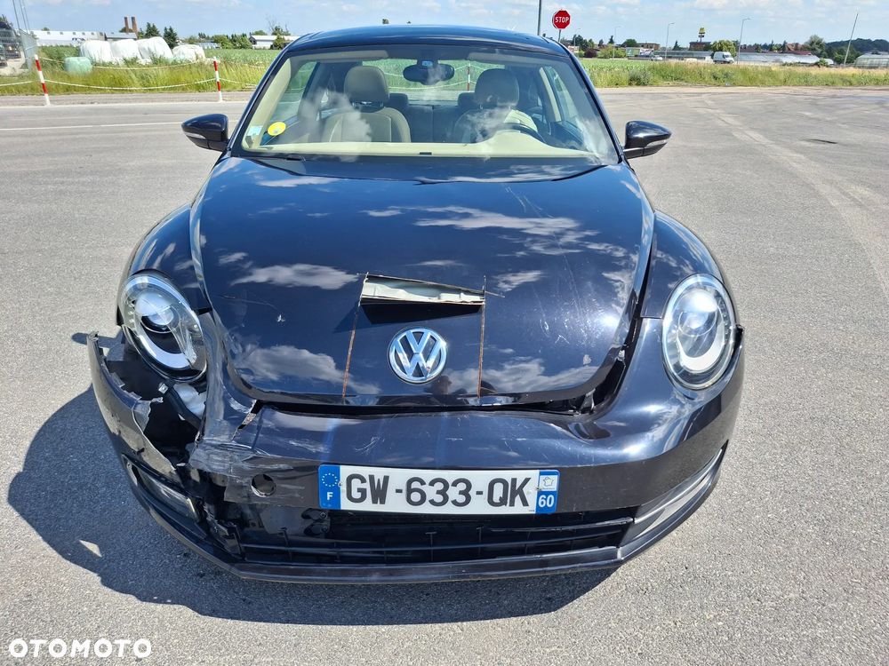 Volkswagen Beetle - 6
