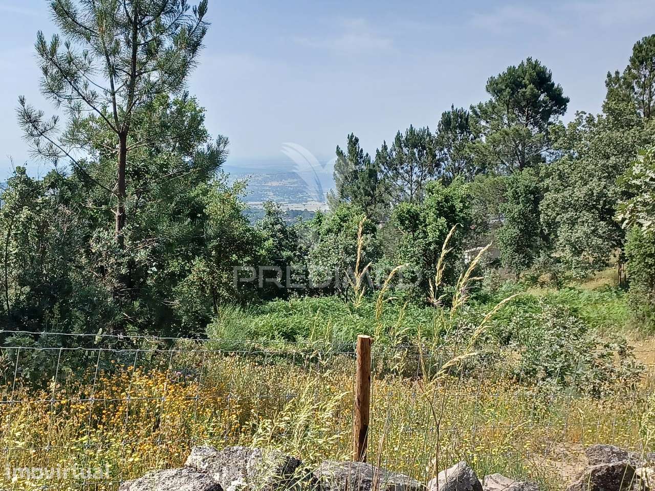 TERRENO RÚSTICO 4,983 HA - Portalegre - Grande imagem: 2/7