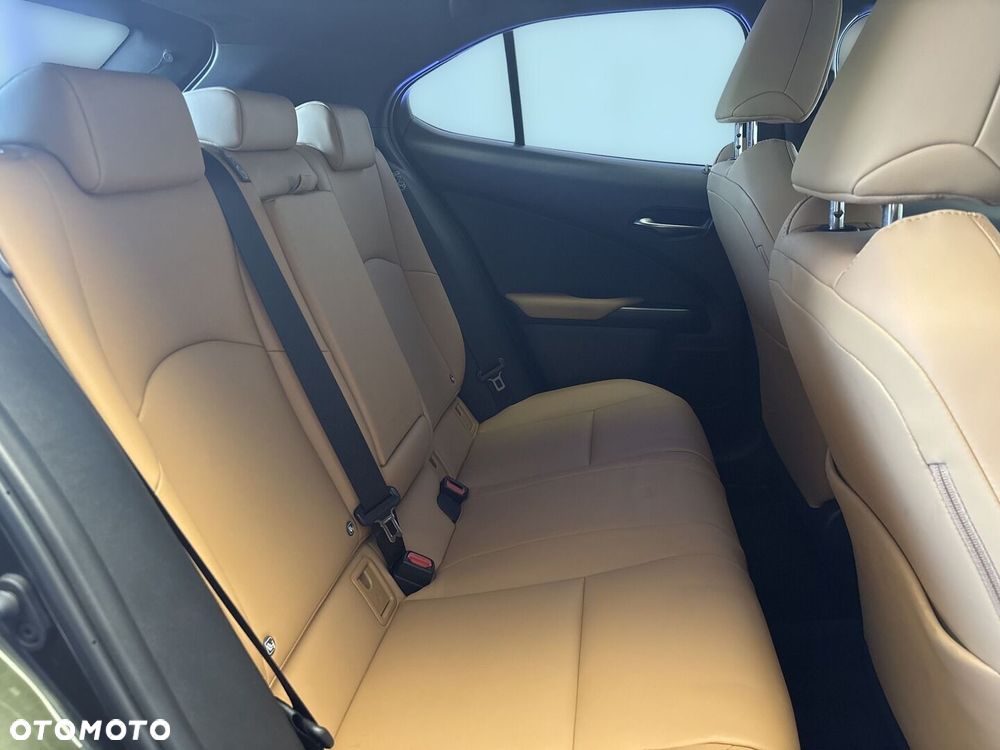 Lexus UX - 15
