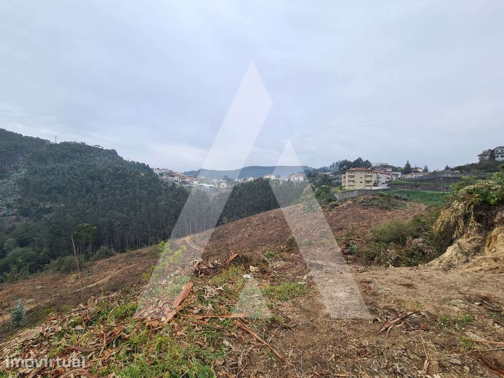Terreno em Vale de Cambra - Grande imagem: 2/10