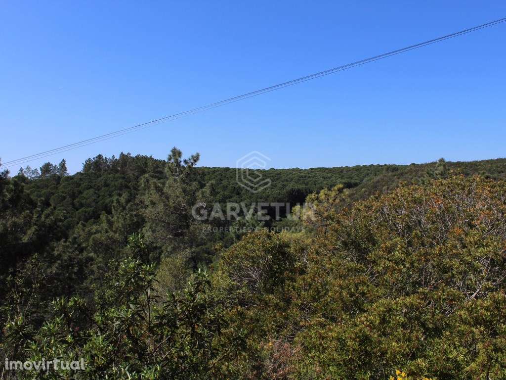 Terreno rústico junto à barragem, Odiaxere, Lagos - Grande imagem: 2/12