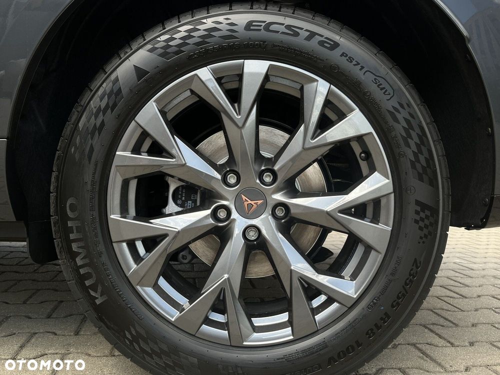 Cupra Terramar 2.0 TSI 4Drive DSG - 10