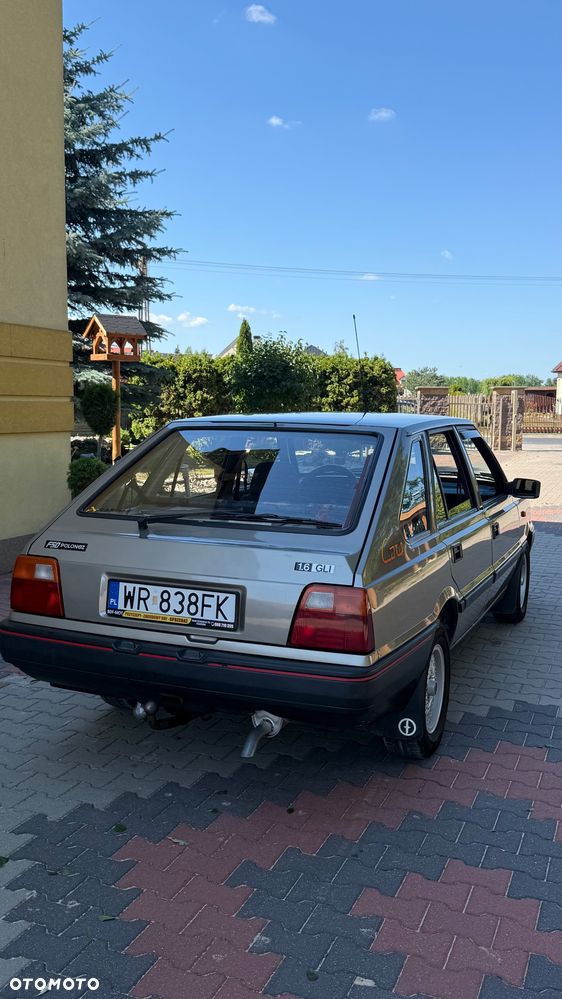 Polonez Caro - 4