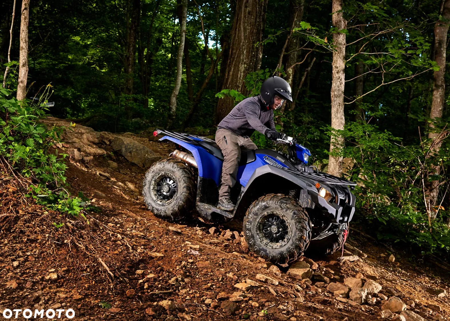 Yamaha Kodiak - 5