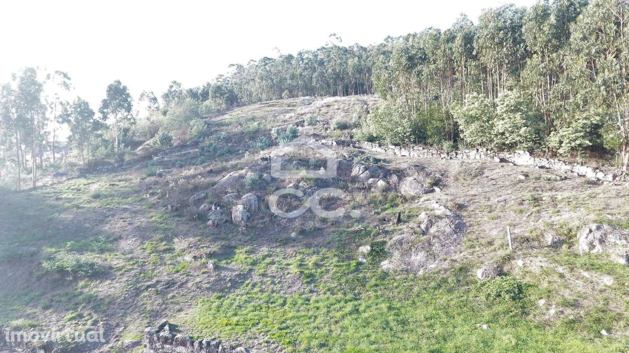 Terreno com zona de construção, Baltar, Paredes - Grande imagem: 3/15