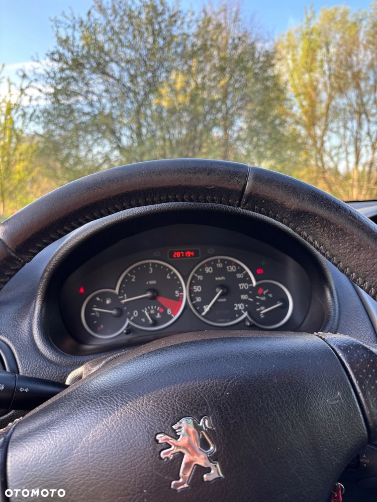 Peugeot 206 - 24