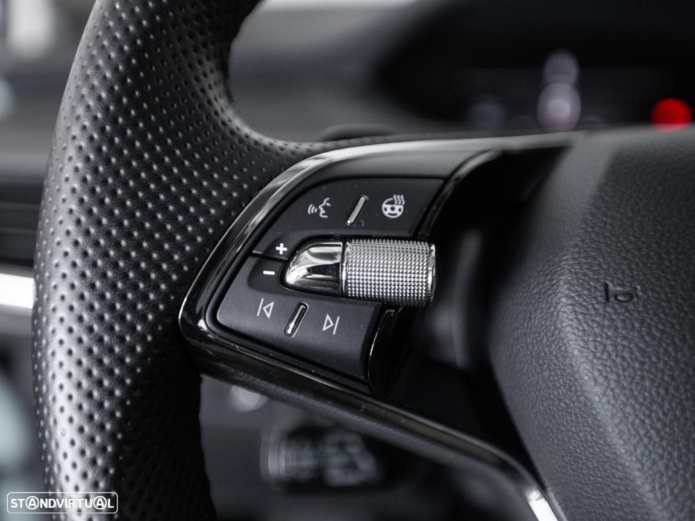 Skoda Enyaq iV 80 - 15