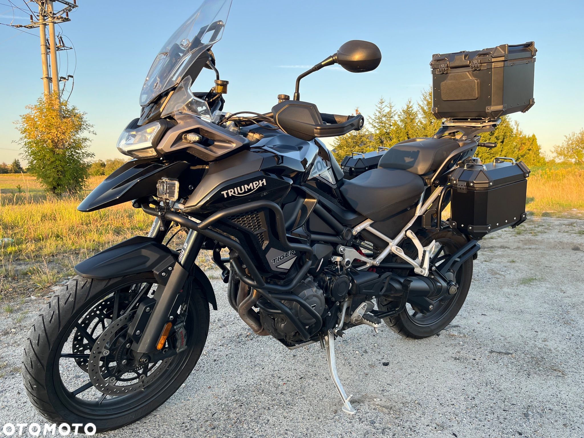Triumph Tiger - 1