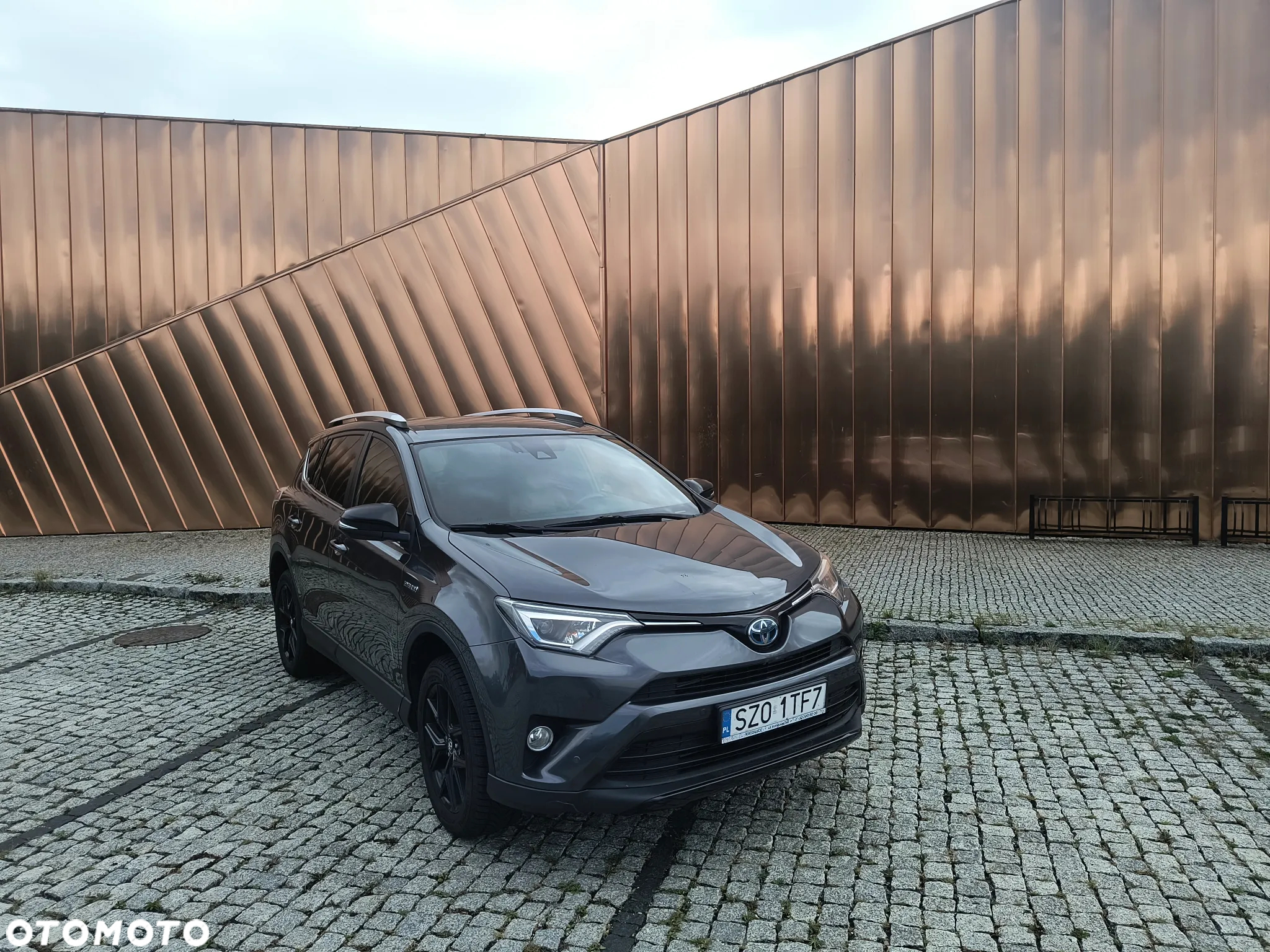 Toyota RAV4 Hybrid Prestige 4x2 - 14