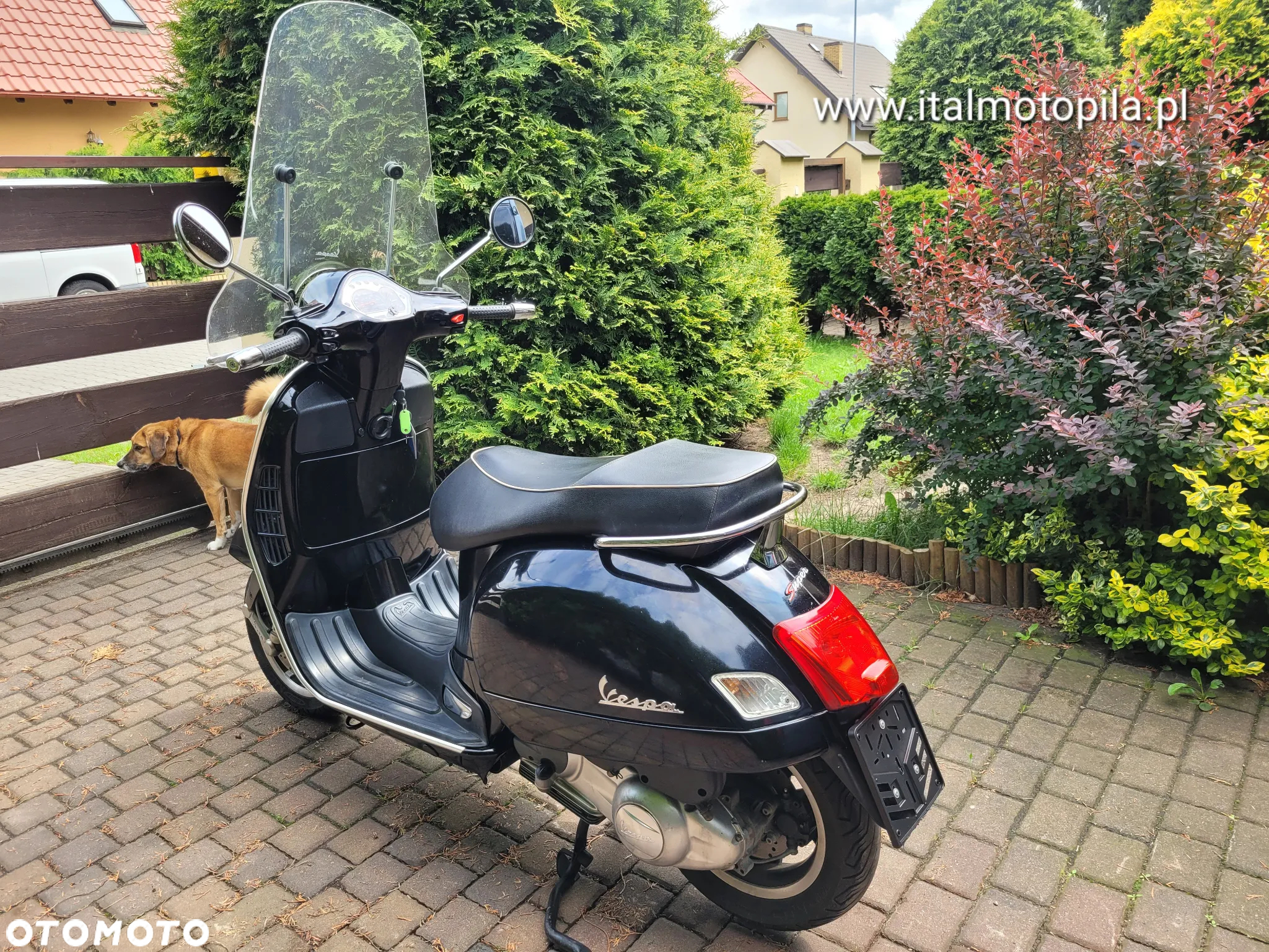 Piaggio Vespa - 16