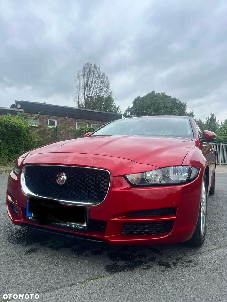 Jaguar XE E-Performance Pure - 5