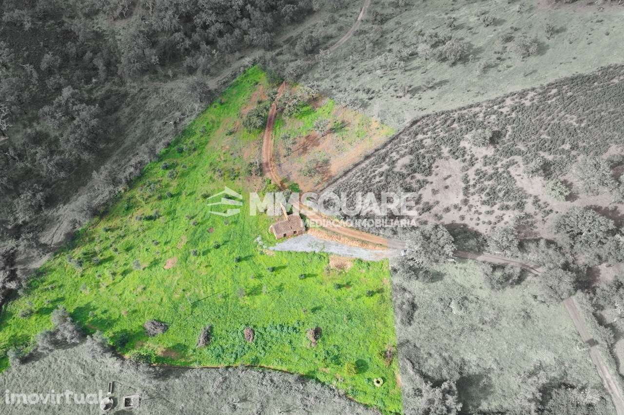 Quintinha  Venda em Garvão e Santa Luzia,Ourique - Grande imagem: 2/20