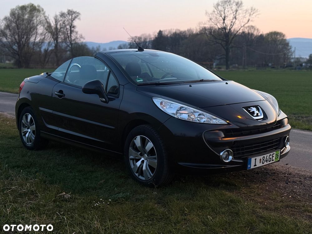 Peugeot 207 - 19