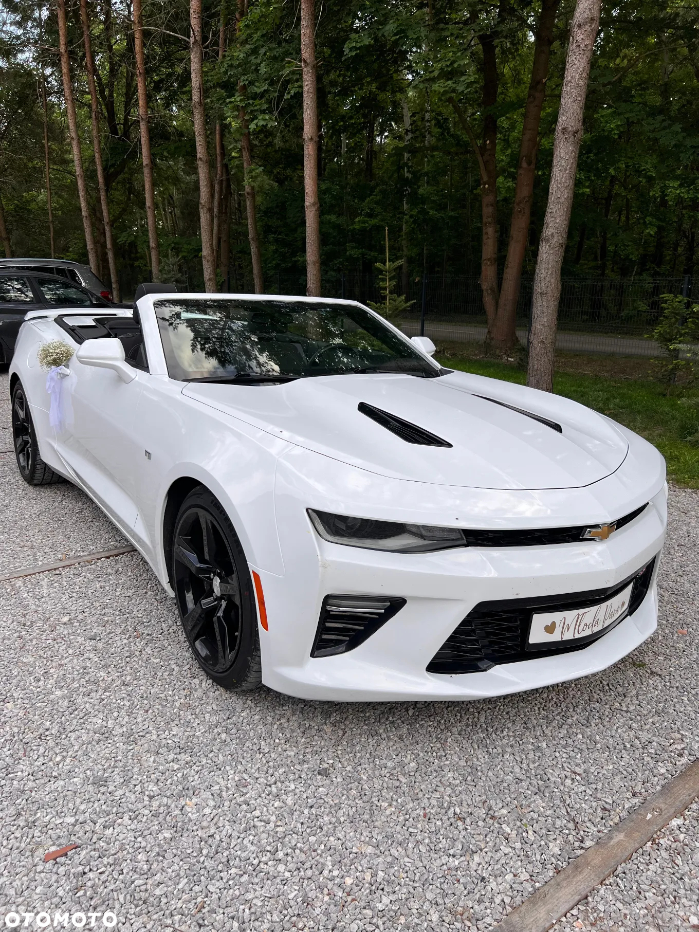 Chevrolet Camaro Cabriolet 6.2 V8 - 2