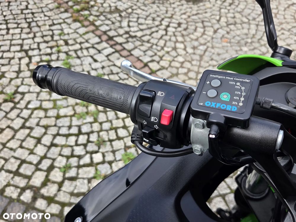 Kawasaki Ninja - 20