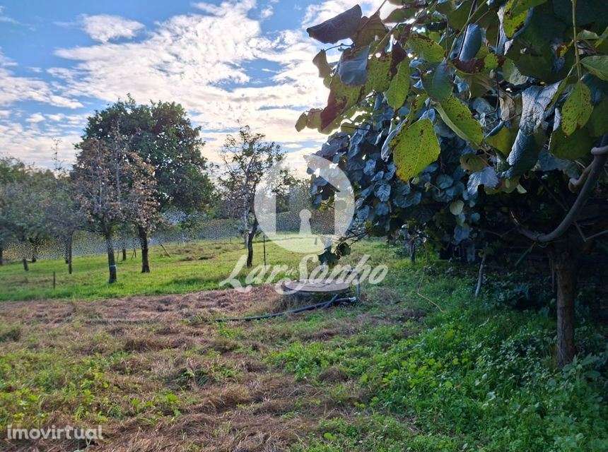 Magnífico terreno misto com 8.500m2 em Barcelos! - Grande imagem: 3/11