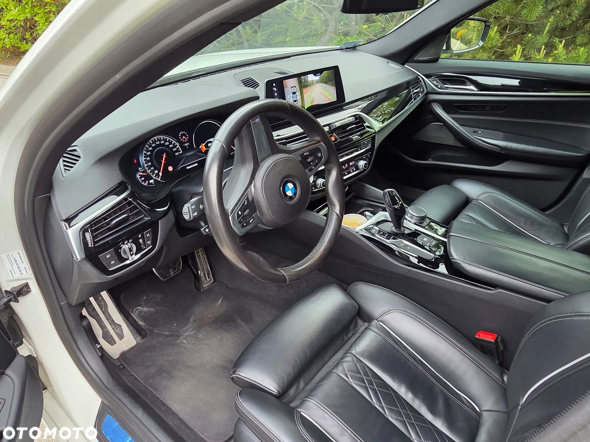 BMW Seria 5 530d xDrive M Sport sport - 17