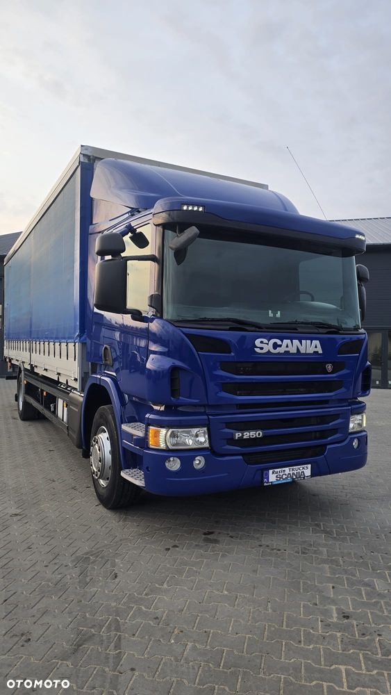 Scania P250 Euro 6 21 palet super stan niski przebieg rama do zabudowy kurierka laweta - 31