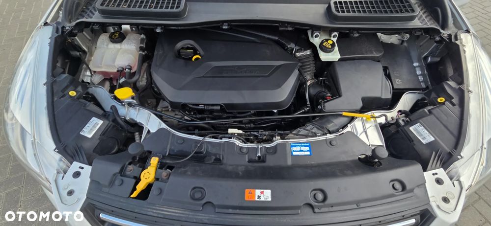 Ford Kuga 1.6 EcoBoost 2x4 Trend - 40