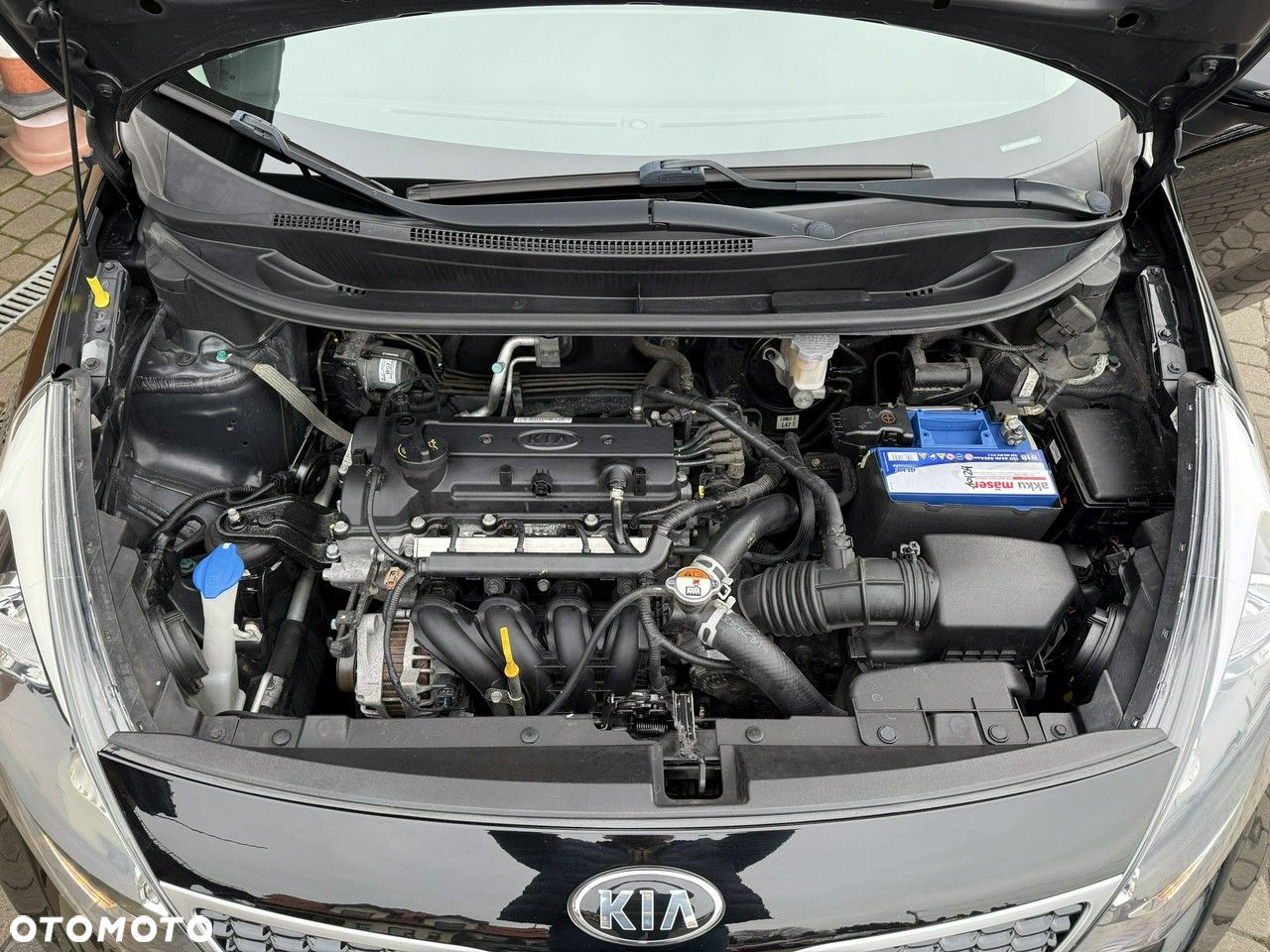 Kia Rio - 21