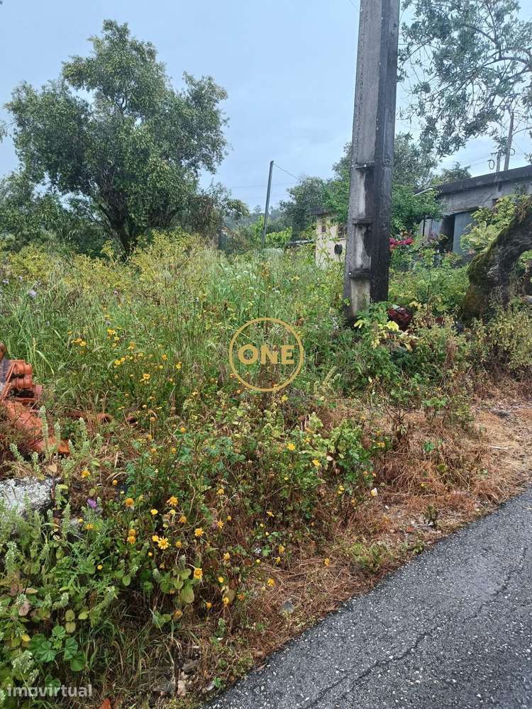Terreno na Ameixeira – Condeixa-a-Nova - Grande imagem: 3/13