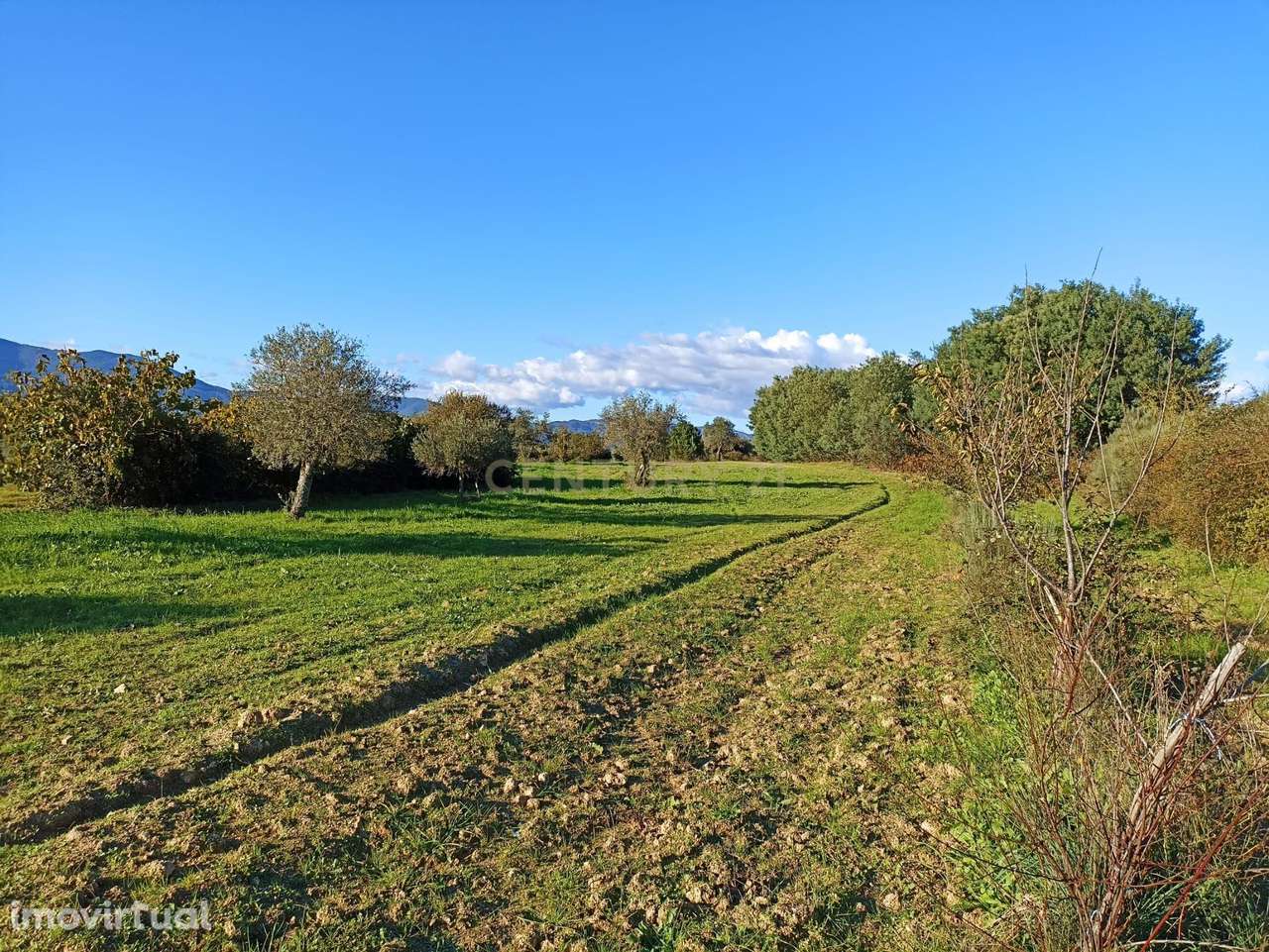 Terreno Rústico em Peraboa, Covilhã - Grande imagem: 2/7