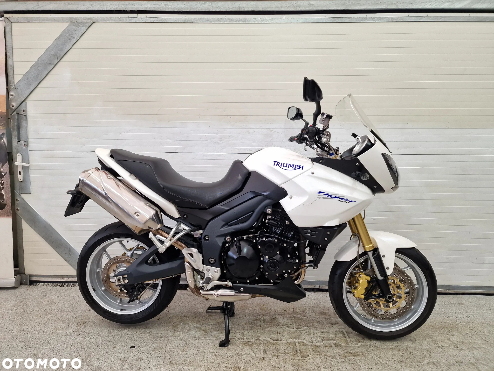 Triumph Tiger - 4