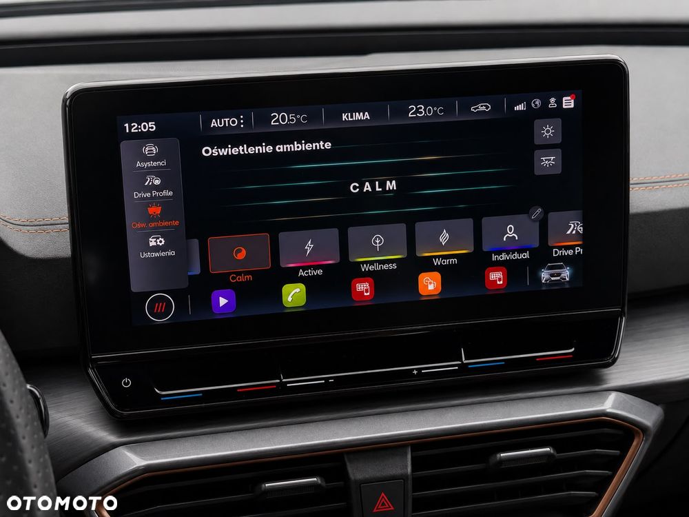 Cupra Formentor 1.5 TSI DSG - 37