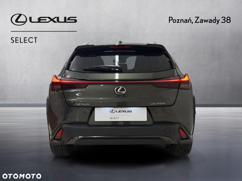 Lexus UX 250h GPF F Sport Design 2WD - 7