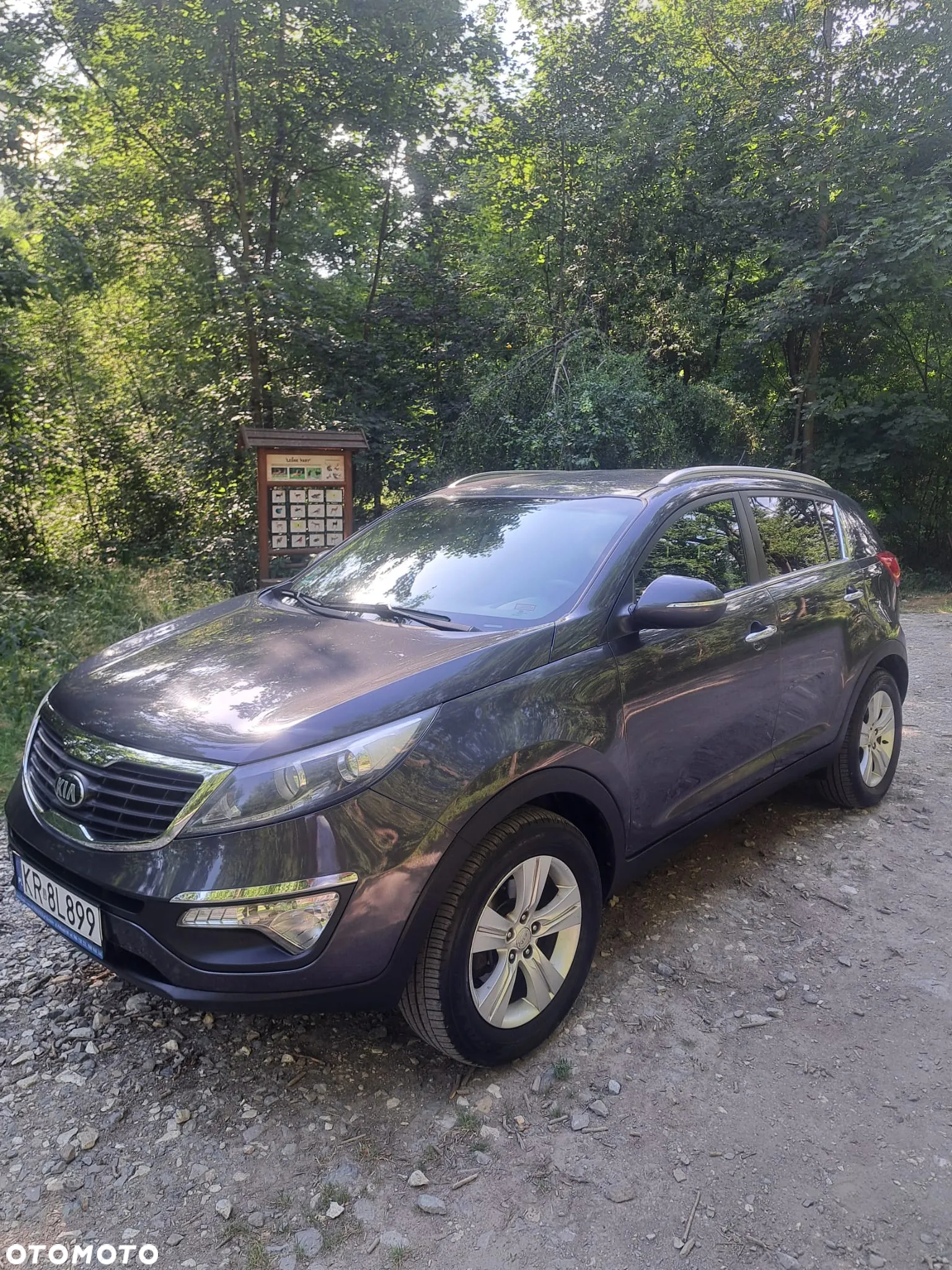 Kia Sportage 1.6 GDI L 2WD - 2