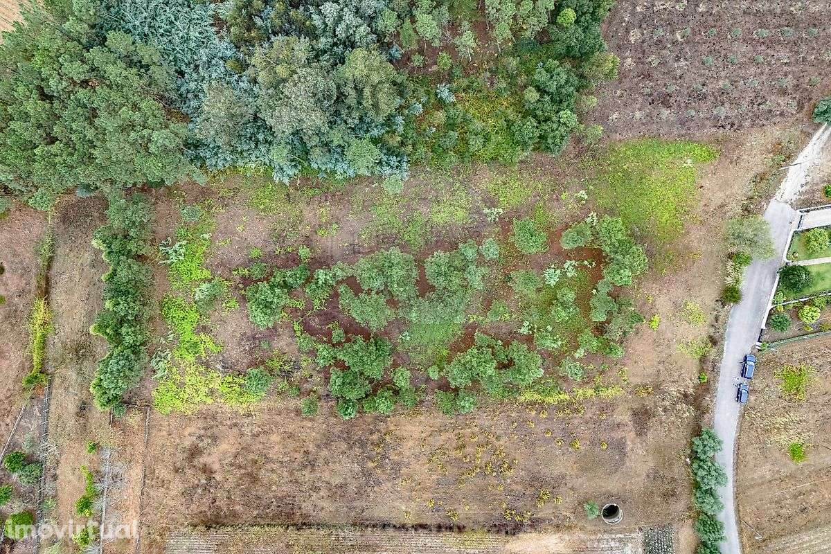 Terreno  para venda - Grande imagem: 3/16