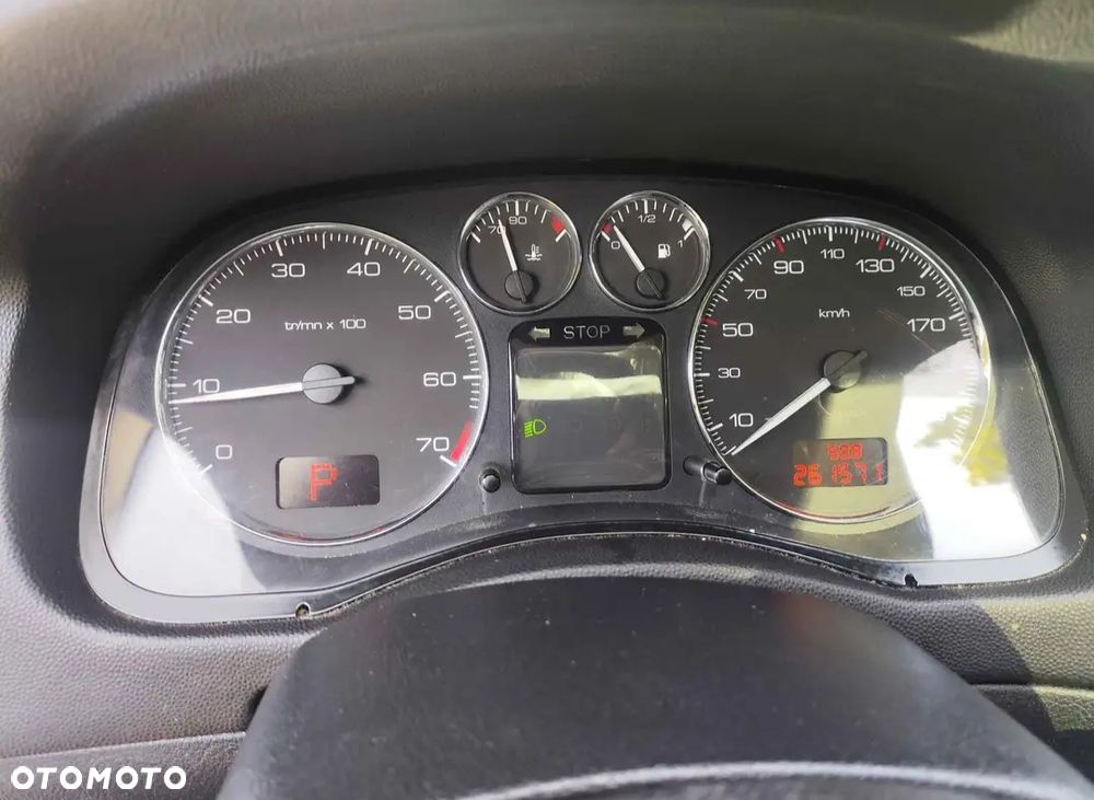 Peugeot 307 2.0 Premium - 16