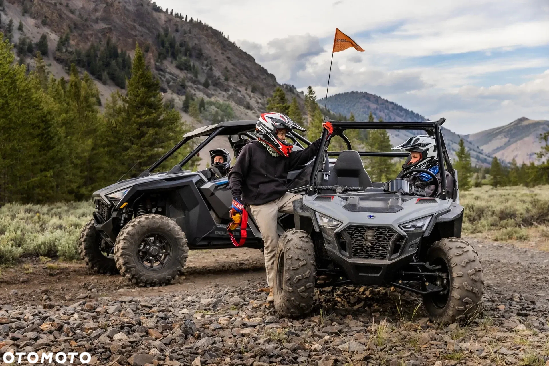 Polaris RZR - 10
