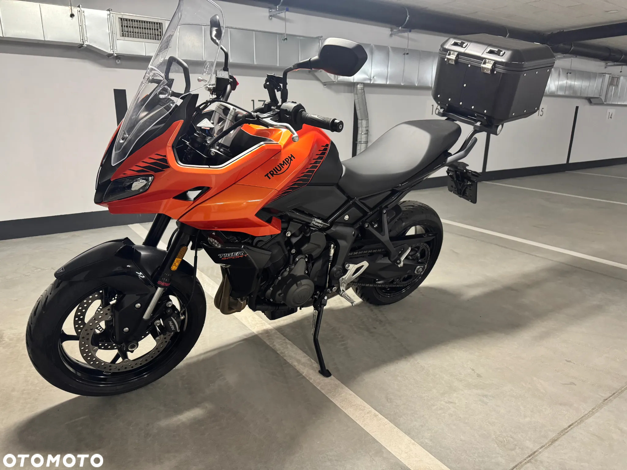Triumph Tiger - 4