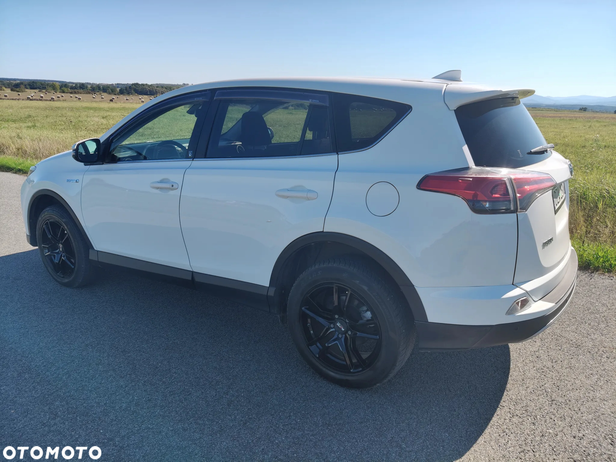 Toyota RAV4 2.5 4x2 Hybrid Team Deutschland - 5