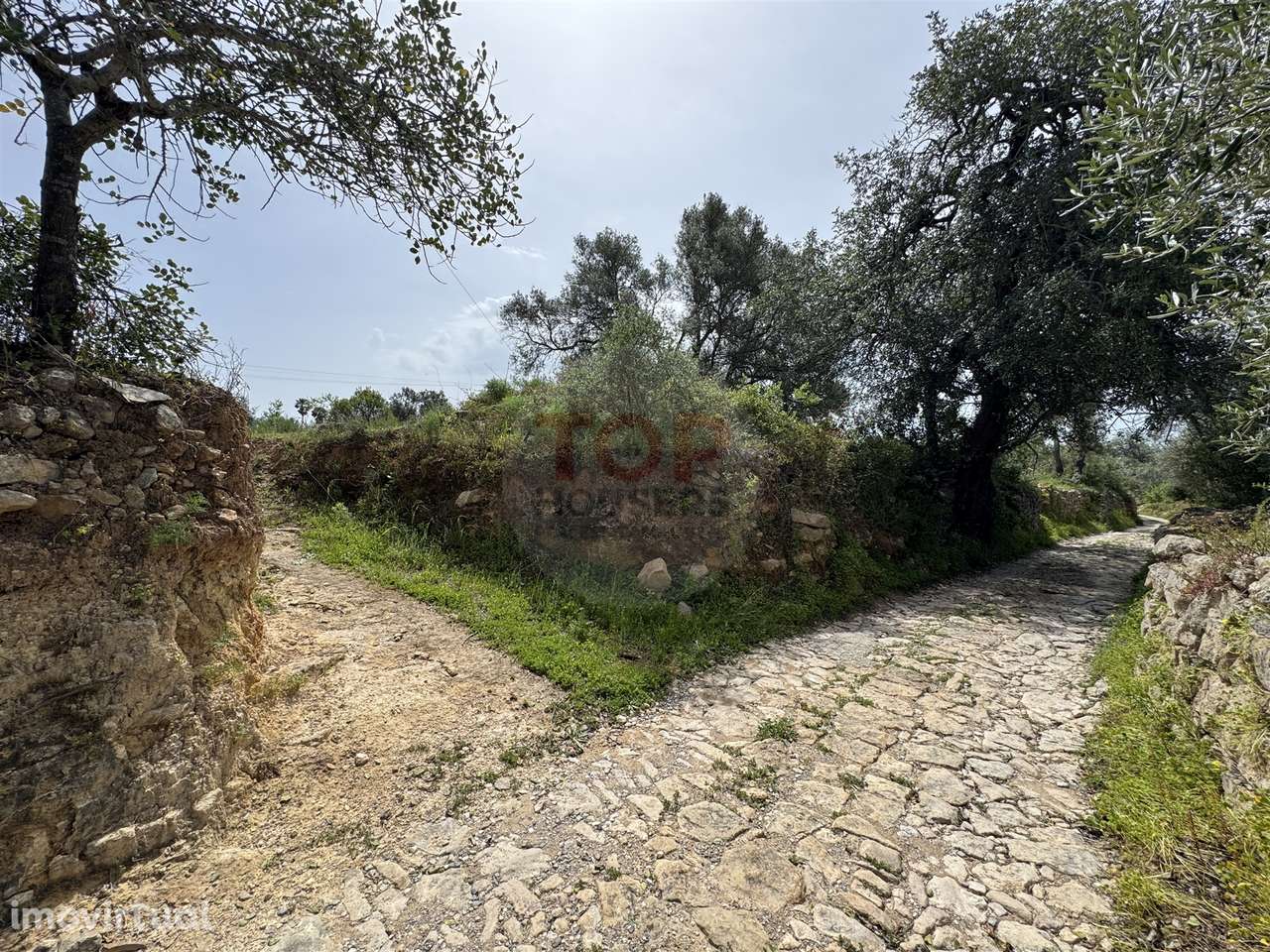 Terreno Rustico - Grande imagem: 5/11