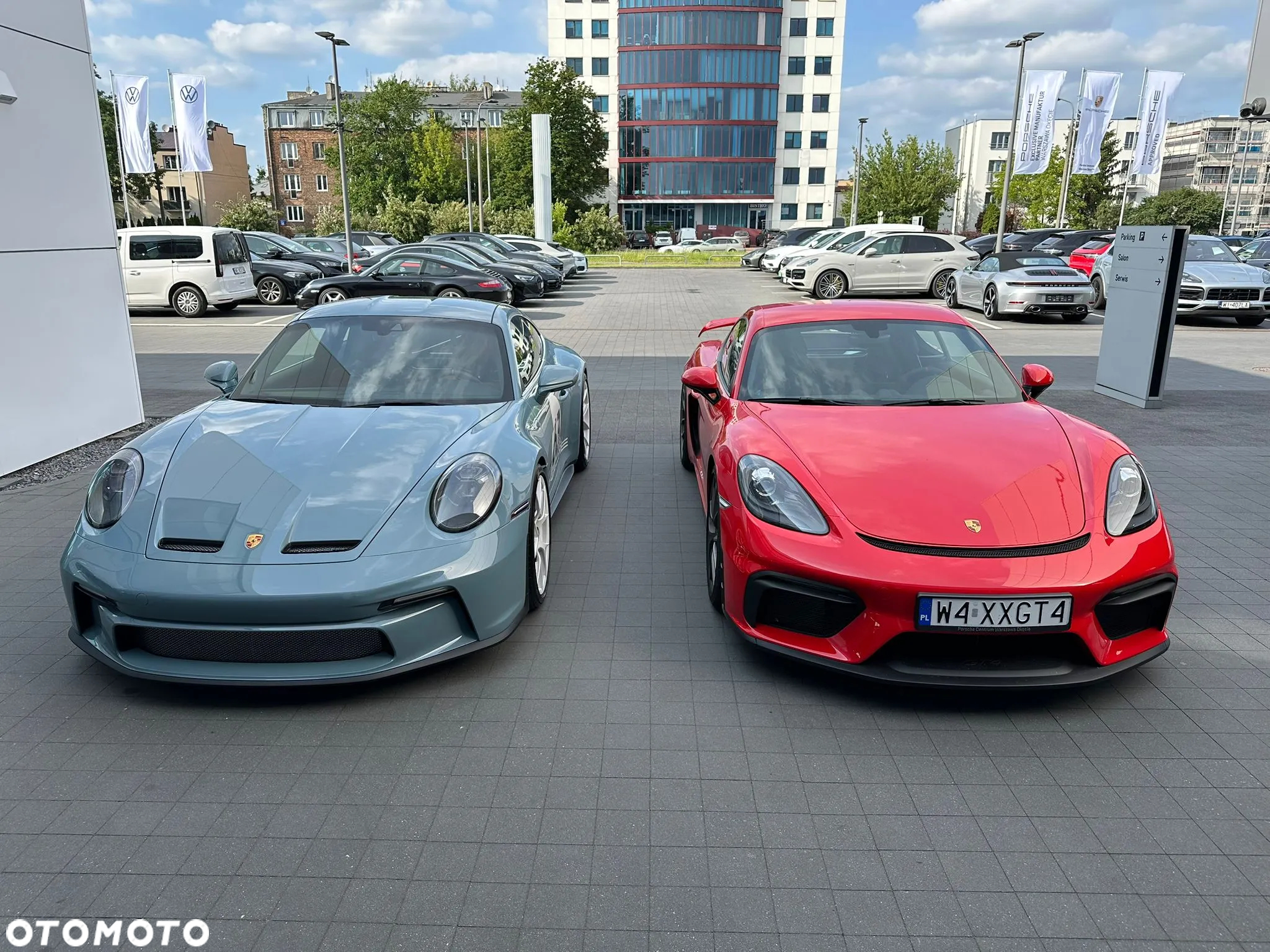 Porsche 718 Cayman GPF GT4 - 38