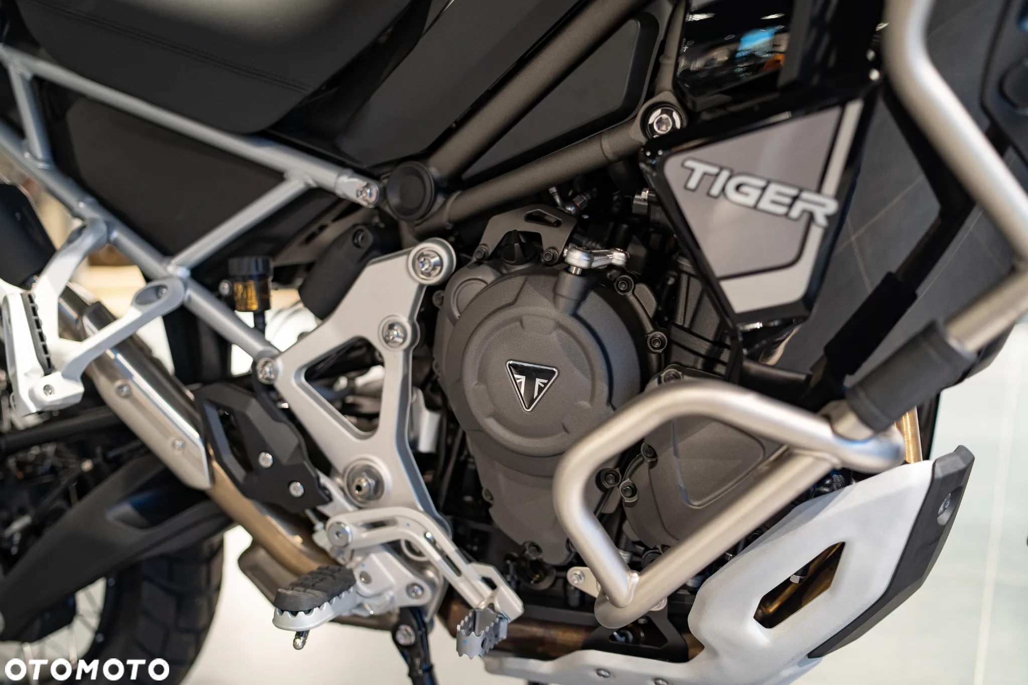 Triumph Tiger - 24